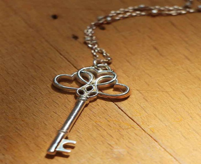 COLLANA MAMAN ET SOPHIE FASHION LA CHIAVE RODIO IN ARGENTO 925 - immagine 2